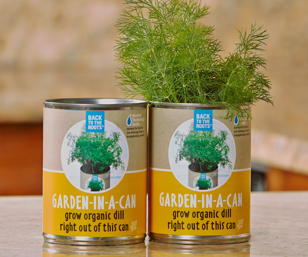 Garden in a Can, Dill