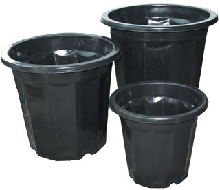 Black Plastic Pot, 10 qt, pack of 44