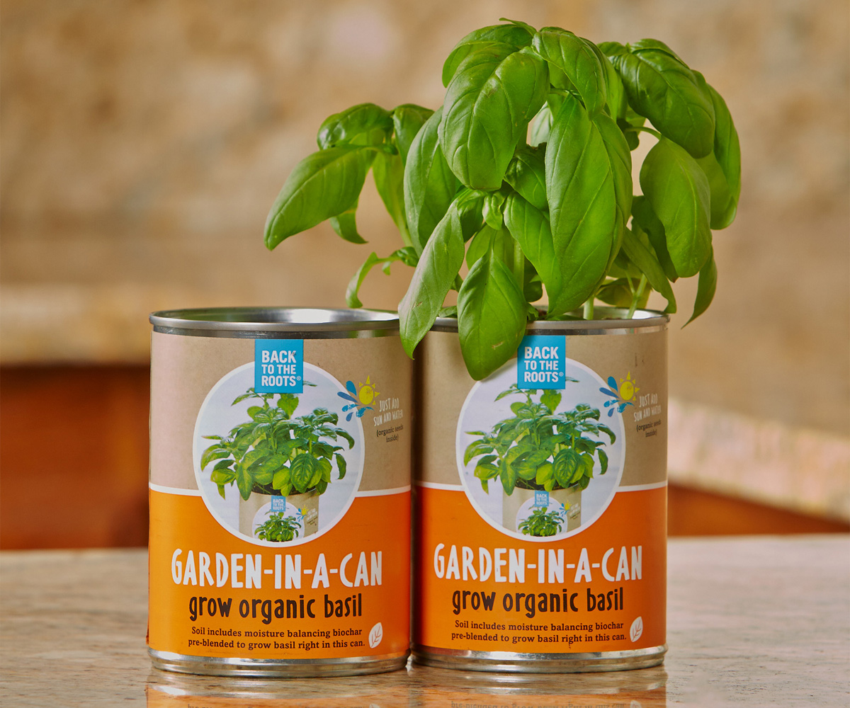 Garden in a Can, Basil