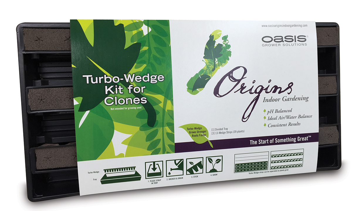 Oasis Origins Turbo Wedge Kit w/1"x1" Strips, 8 per case